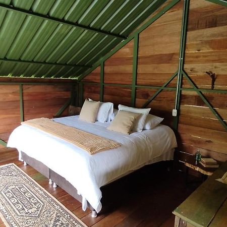 Ecohotel Pinohermoso Reserva Natural サレント エクステリア 写真
