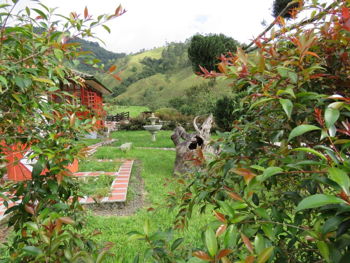 Ecohotel Pinohermoso Reserva Natural サレント エクステリア 写真