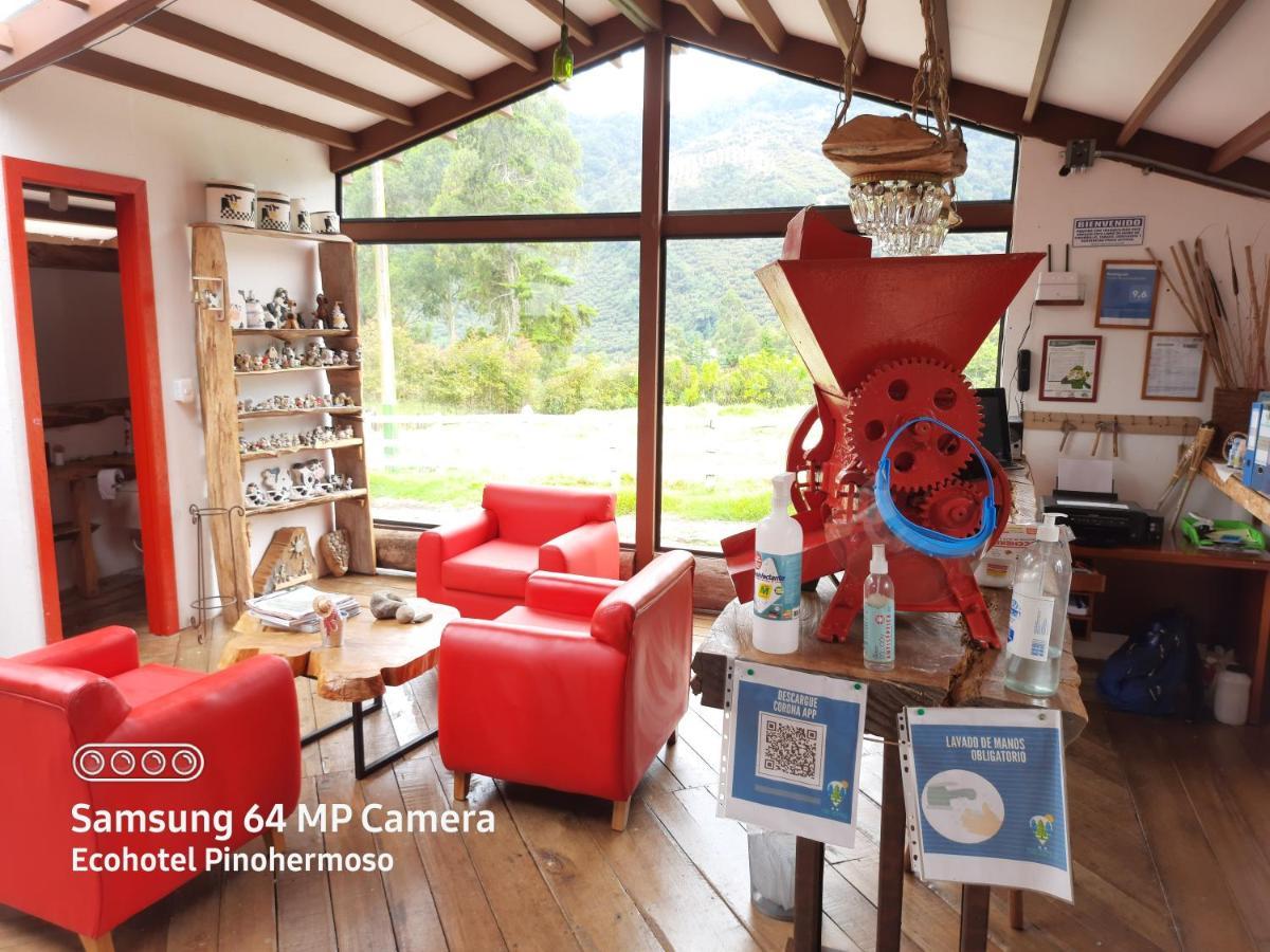 Ecohotel Pinohermoso Reserva Natural サレント エクステリア 写真