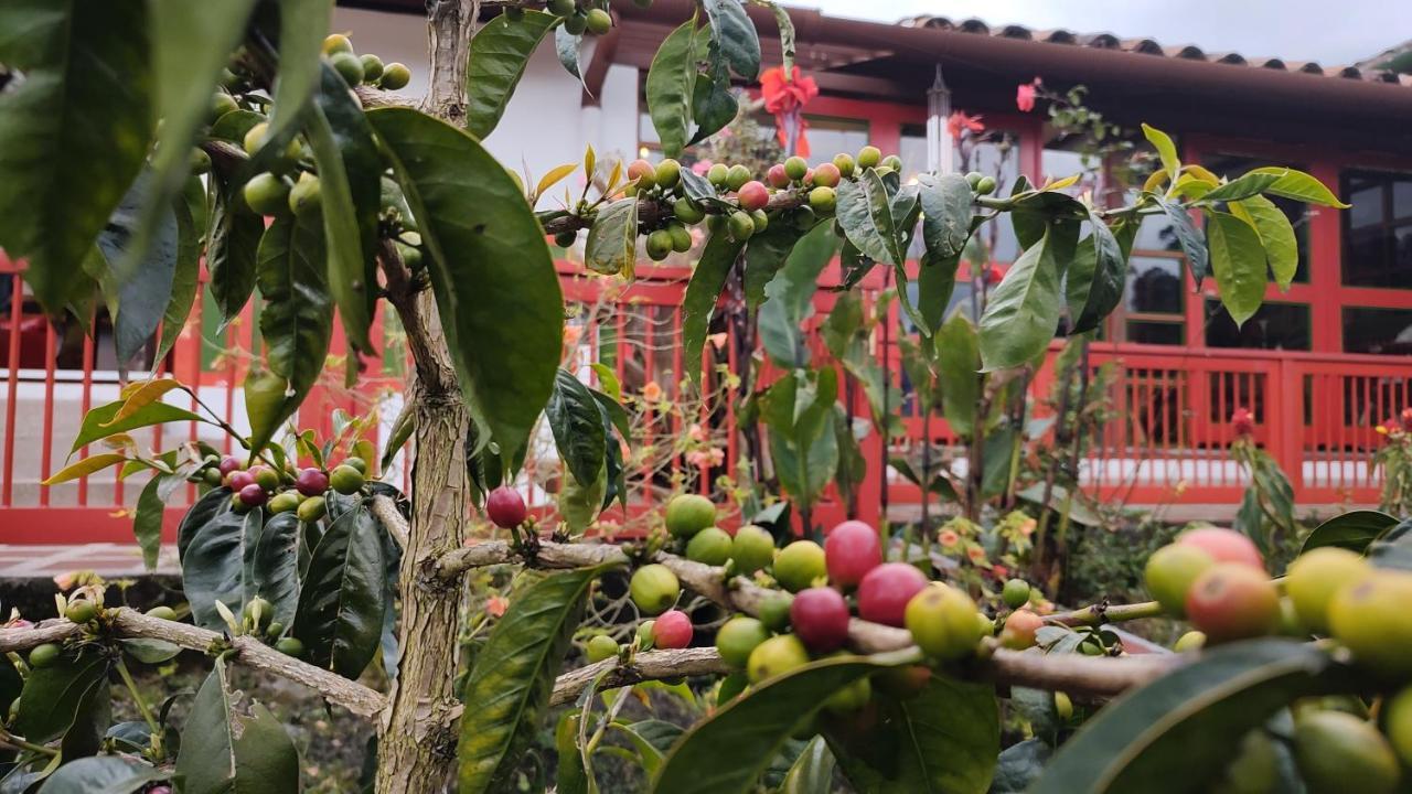 Ecohotel Pinohermoso Reserva Natural サレント エクステリア 写真