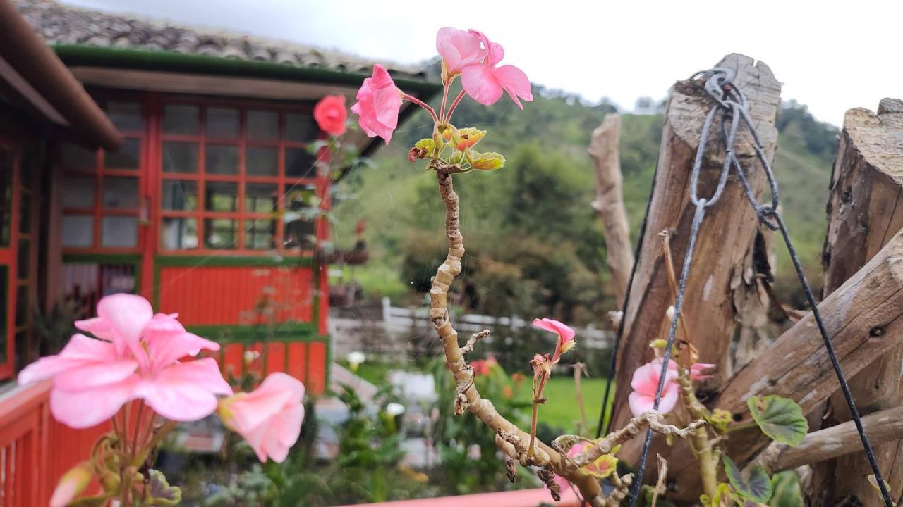 Ecohotel Pinohermoso Reserva Natural サレント エクステリア 写真