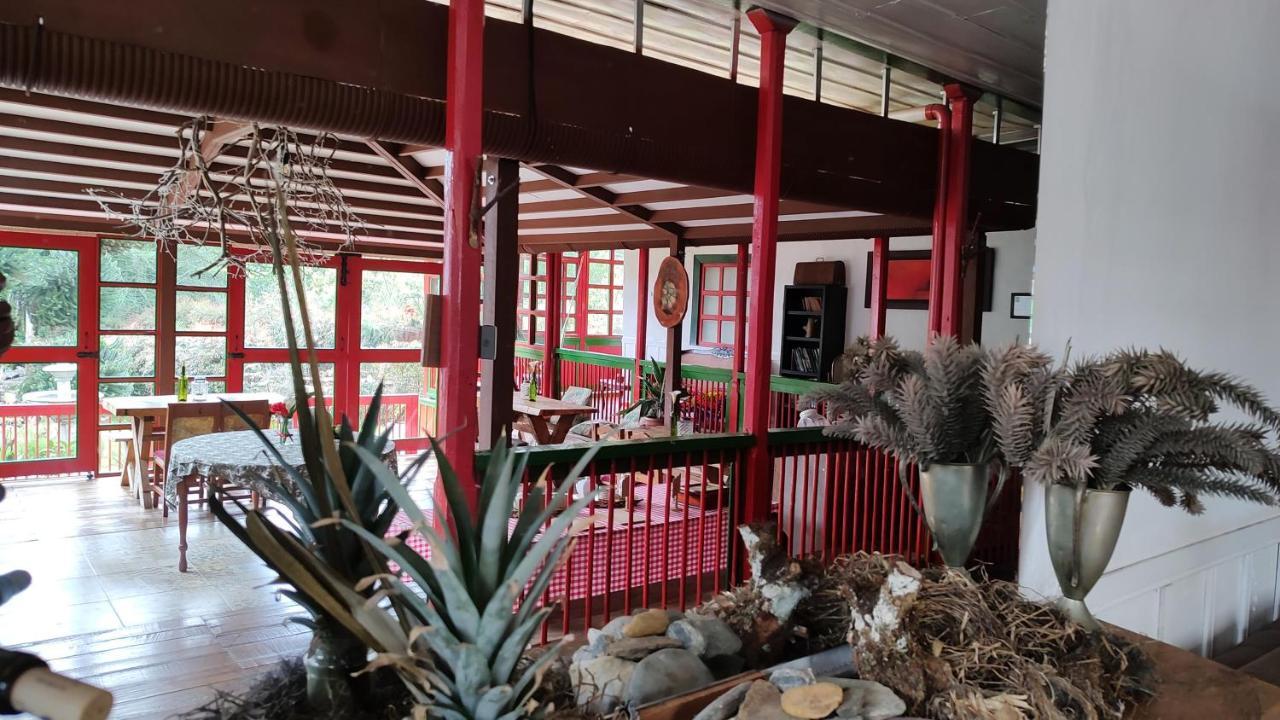 Ecohotel Pinohermoso Reserva Natural サレント エクステリア 写真