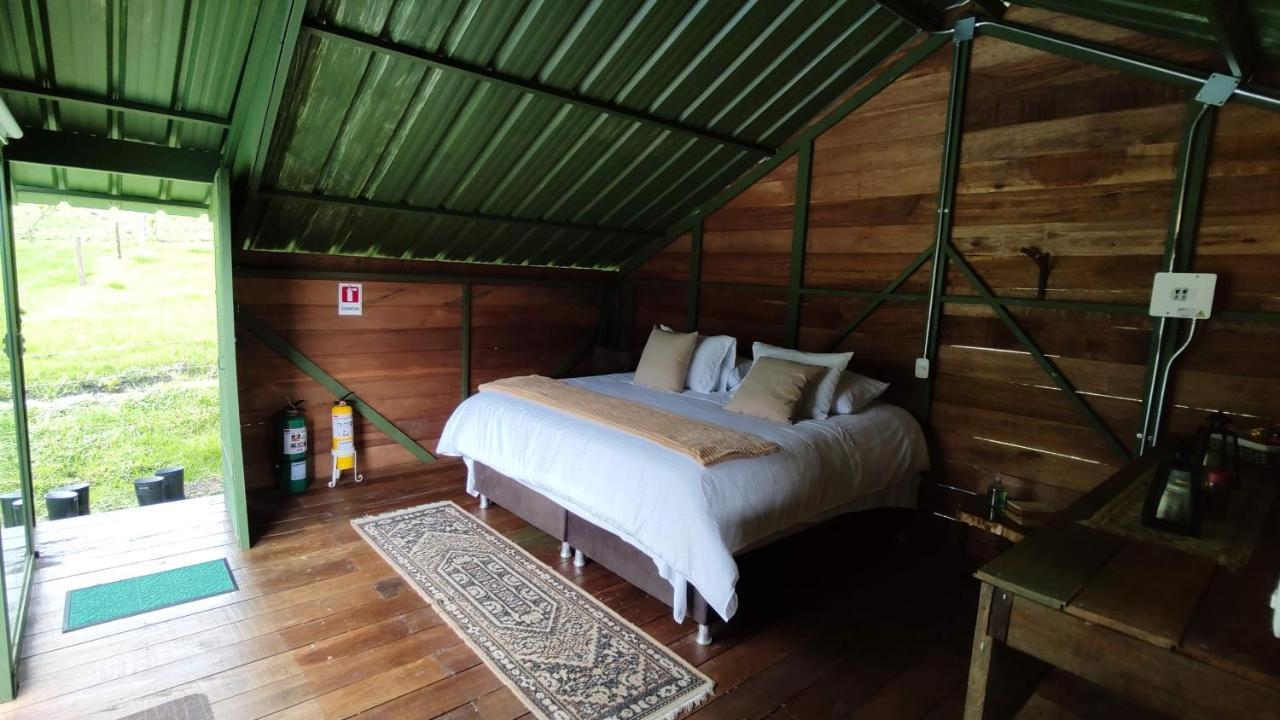 Ecohotel Pinohermoso Reserva Natural サレント エクステリア 写真