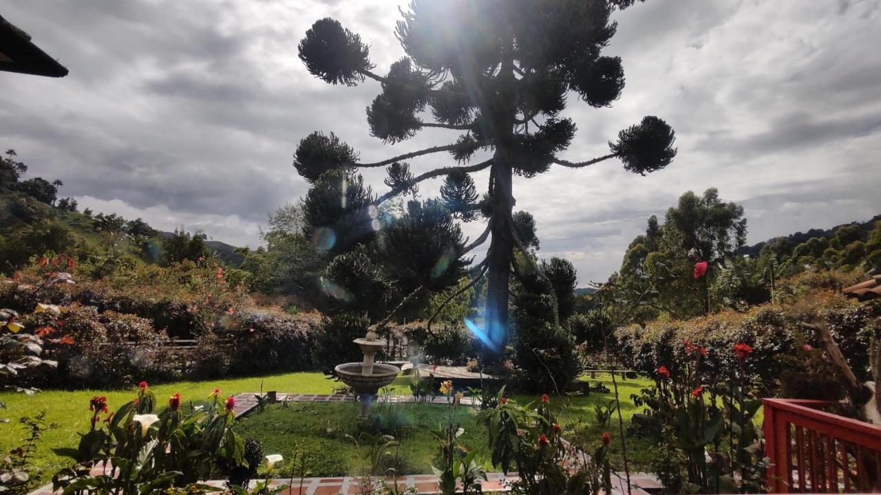 Ecohotel Pinohermoso Reserva Natural サレント エクステリア 写真