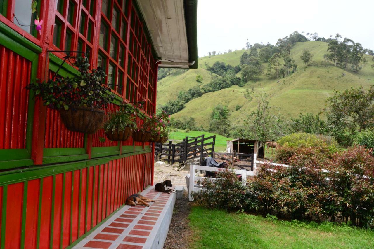Ecohotel Pinohermoso Reserva Natural サレント エクステリア 写真