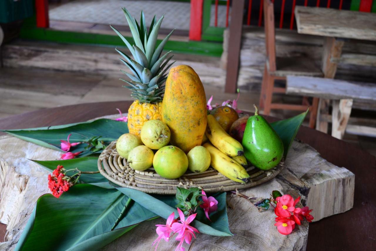 Ecohotel Pinohermoso Reserva Natural サレント エクステリア 写真