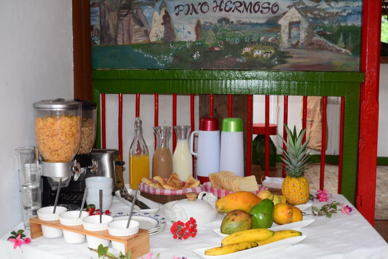 Ecohotel Pinohermoso Reserva Natural サレント エクステリア 写真