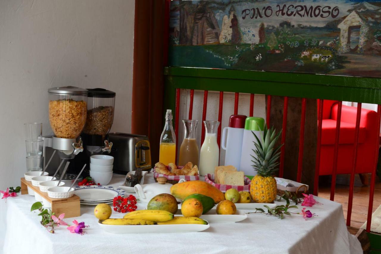 Ecohotel Pinohermoso Reserva Natural サレント エクステリア 写真