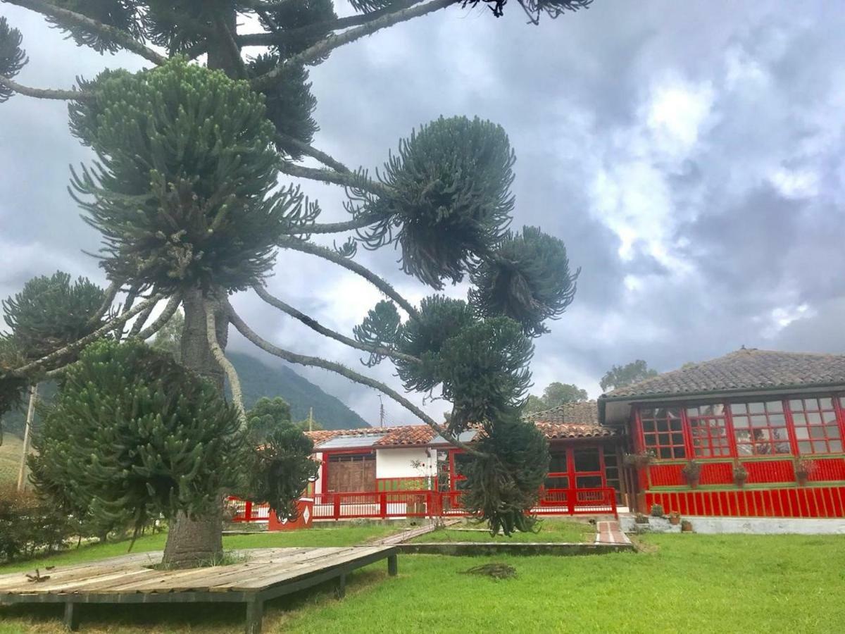 Ecohotel Pinohermoso Reserva Natural サレント エクステリア 写真