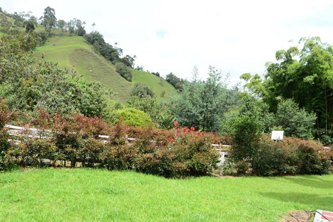 Ecohotel Pinohermoso Reserva Natural サレント エクステリア 写真