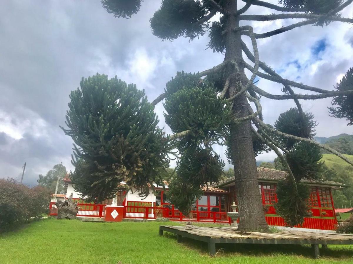 Ecohotel Pinohermoso Reserva Natural サレント エクステリア 写真