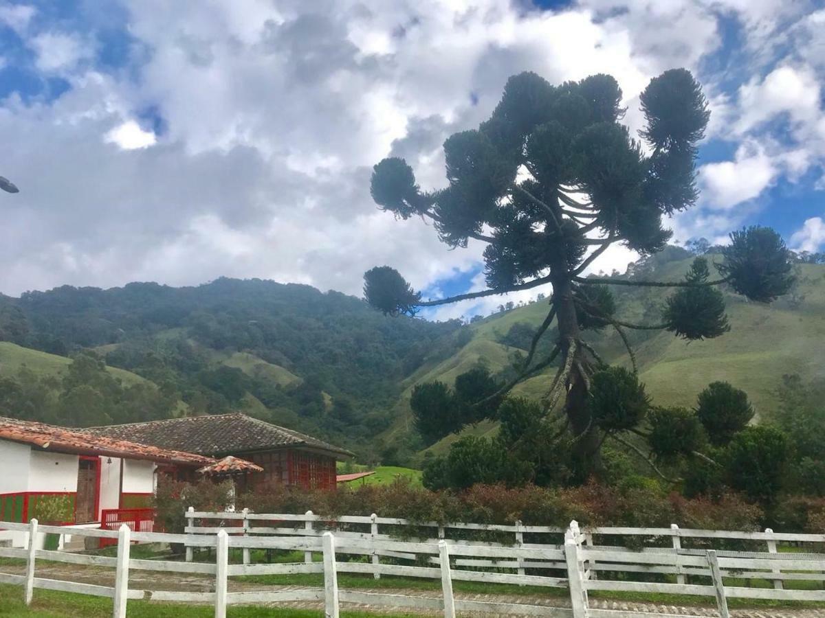 Ecohotel Pinohermoso Reserva Natural サレント エクステリア 写真