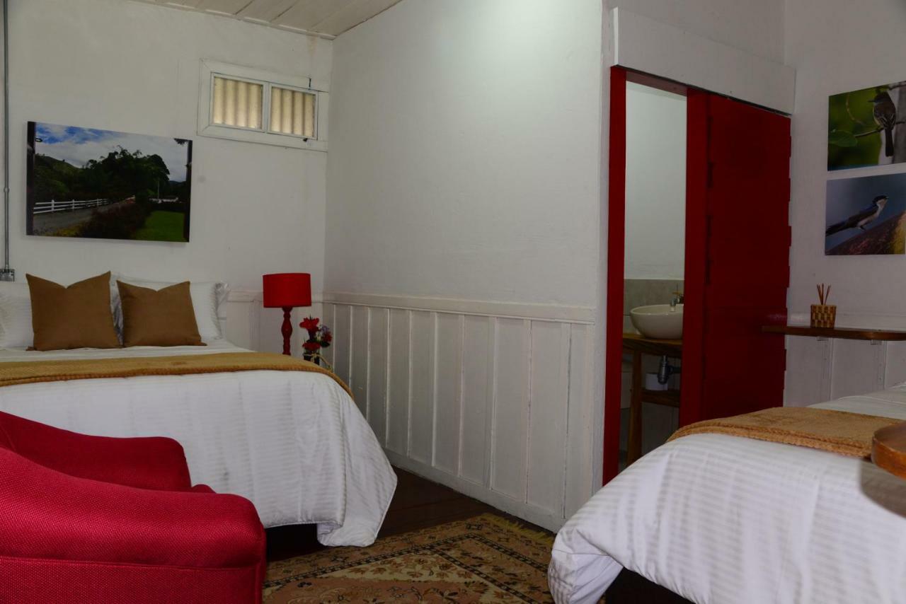 Ecohotel Pinohermoso Reserva Natural サレント エクステリア 写真